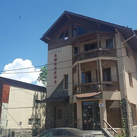 Amadeus Hotel Бакуриани Екстериор снимка